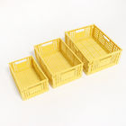 Containers van de het Huishoudenopslag van Mesh Stackable pp de Plastic voor Plantaardig Fruit 24*16*10cm