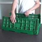 Groene Opvouwbare Fruit Plastic Kratten Draagbaar voor Huis het Winkelen
