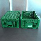 Groen Plastic Opslagkrat 600x400x220cm voor Fruitgroente