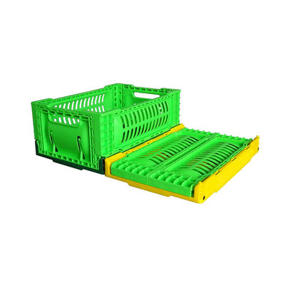 kwaliteit Het kleine 5L-de Opties van de de Mand Multikleur van de Fruitopslag Vouwen fabriek